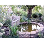 Пруд с фонтаном